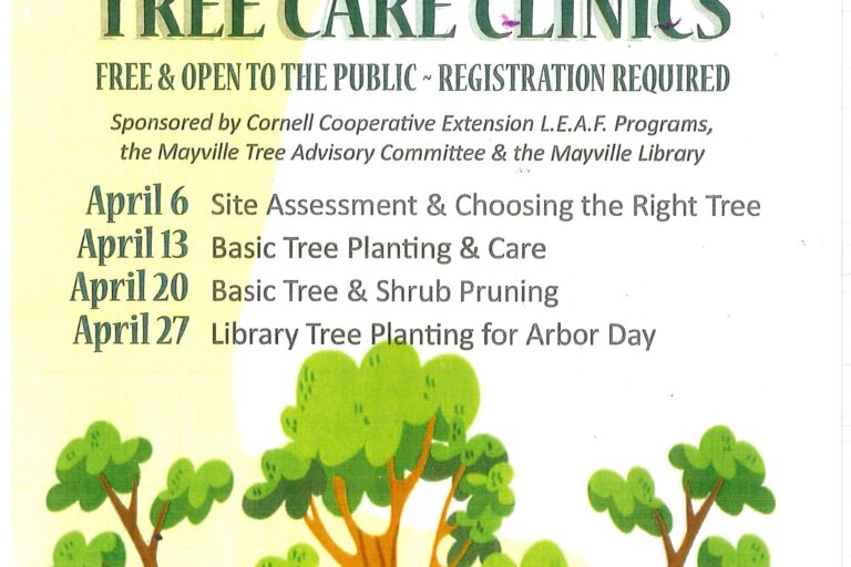 Tree Care Clinics